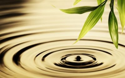 One Sure Way to Achieve Money Zen