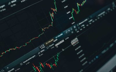 Riding the stock market roller coaster